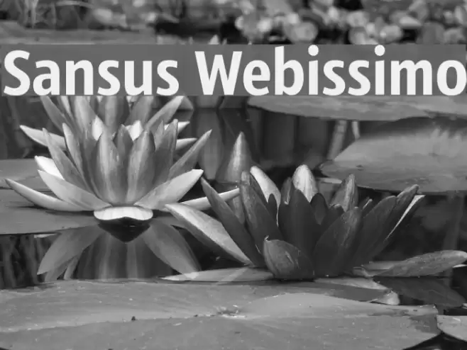 Sansus Webissimo Schriftart examples