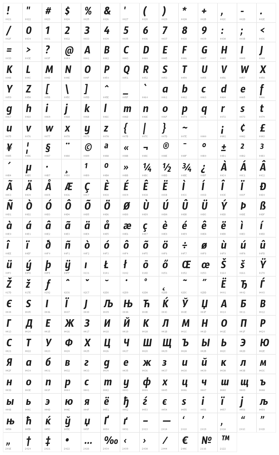 SansusWebissimo-Italic Character Map