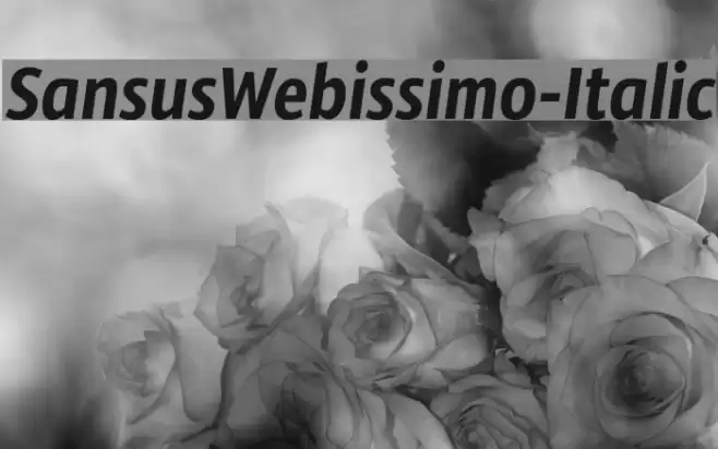 SansusWebissimo-Italic examples