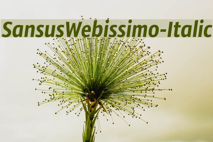 SansusWebissimo-Italic Fonte examples
