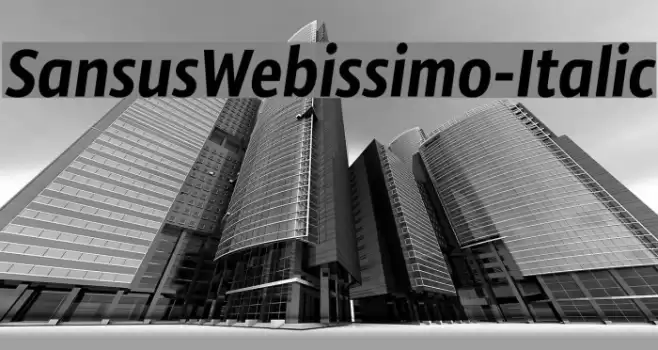 SansusWebissimo-Italic examples