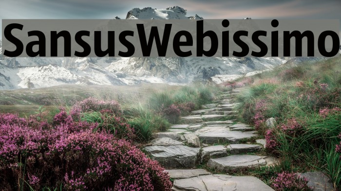 SansusWebissimo Font examples