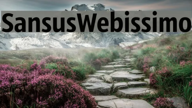SansusWebissimo Example 1