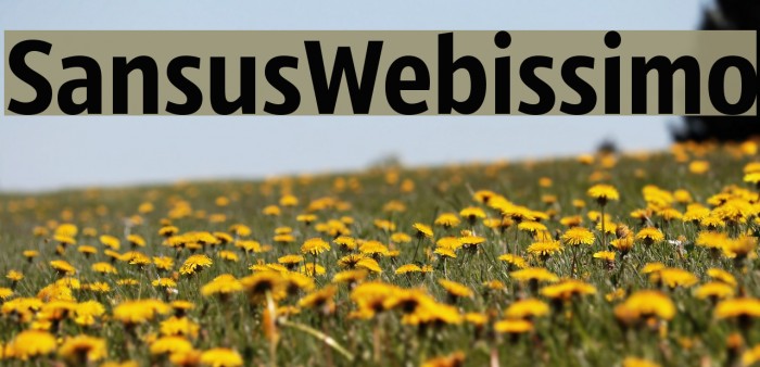 SansusWebissimo Font examples