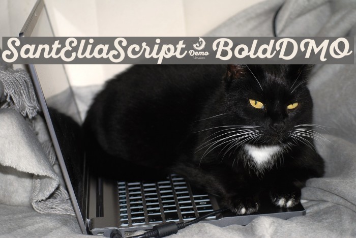 SantEliaScript-BoldDMO Font examples