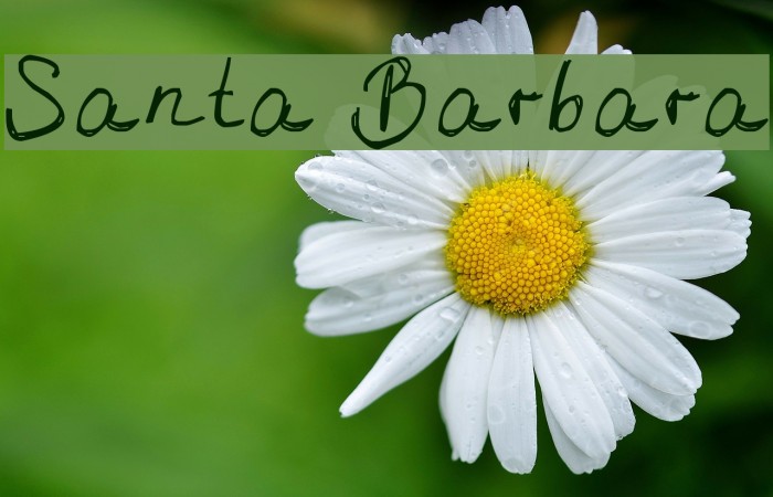 Santa Barbara Font examples