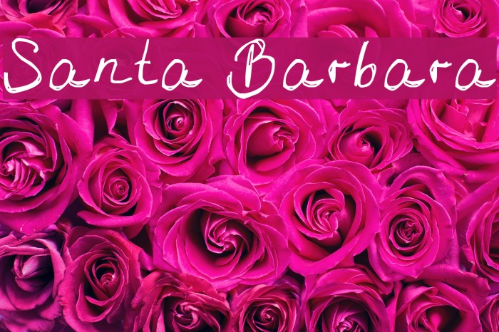 Santa Barbara Font examples