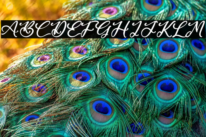 Santa Beast Example 3