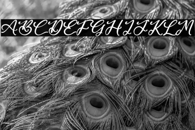 Santa Beast Font examples