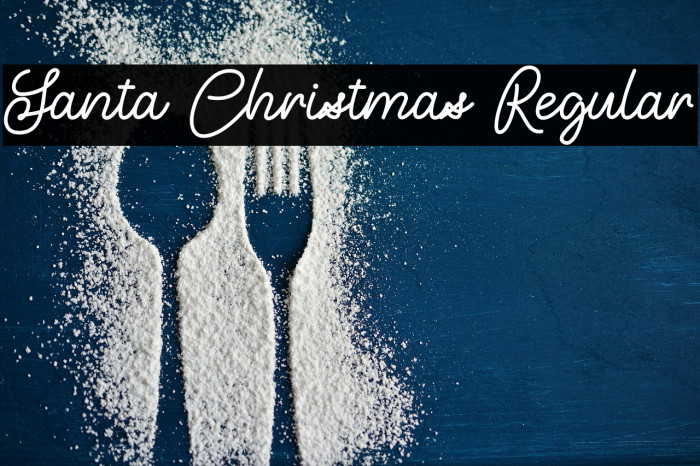 Santa Christmas Regular Example 3