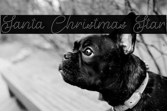 Santa Christmas Star Example 1