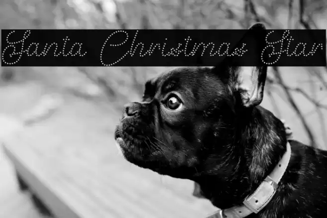 Santa Christmas Star Font examples