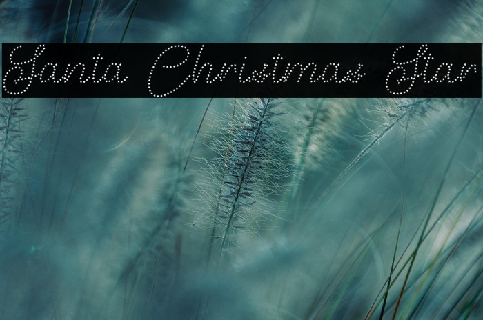 Santa Christmas Star Example 3