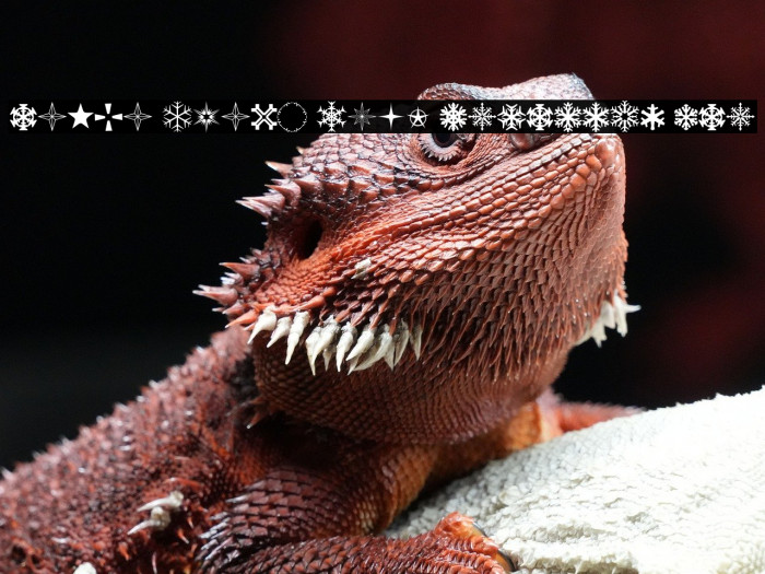 Santa Claus Deco PERSONAL USE Example 1