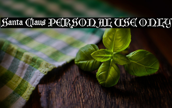 Santa Claus PERSONAL USE ONLY Example 1