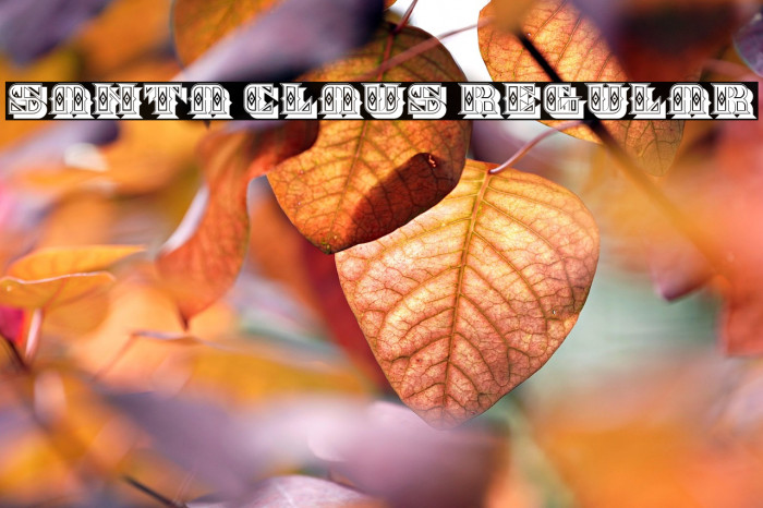 Santa Claus Regular Example 2