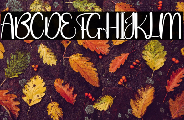 Santa Clause Example 1