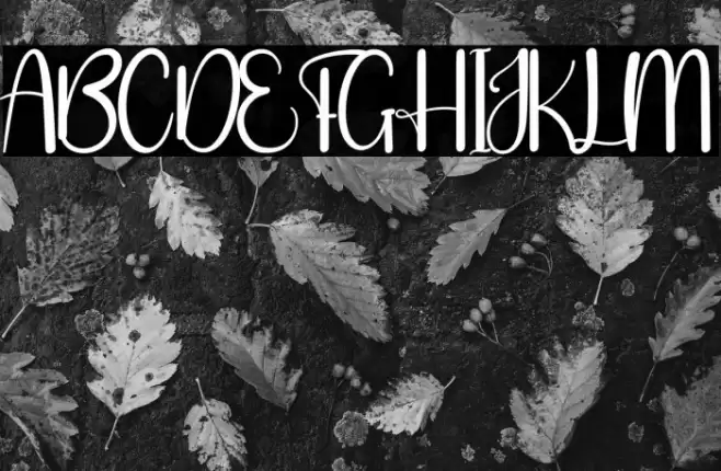 Santa Clause Fuentes examples