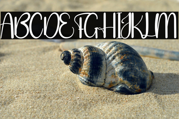 Santa Clause Example 3