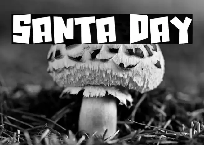 Santa Day Font examples