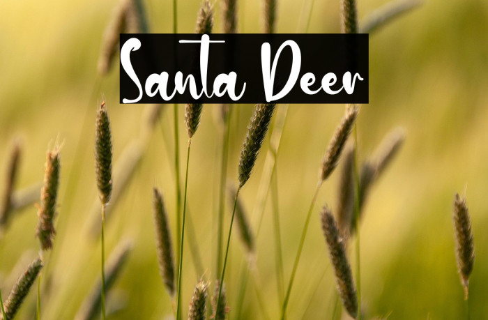 Santa Deer Example 2