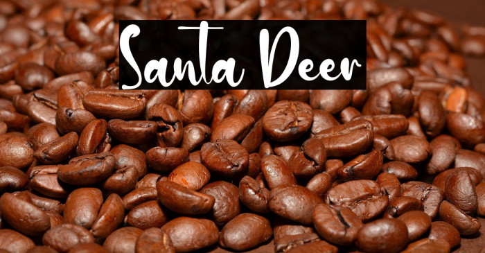 Santa Deer Example 3