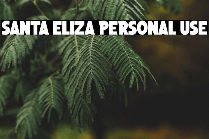 Santa Eliza Personal Use Шрифта examples
