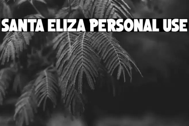 Santa Eliza Personal Use Schriftart examples