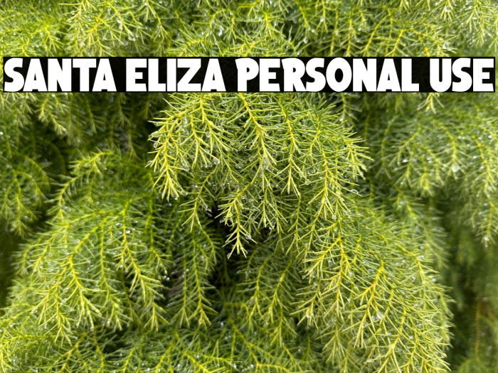 Santa Eliza Personal Use Шрифта examples
