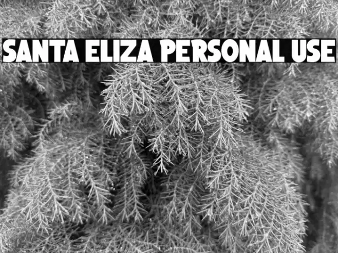 Santa Eliza Personal Use Schriftart examples