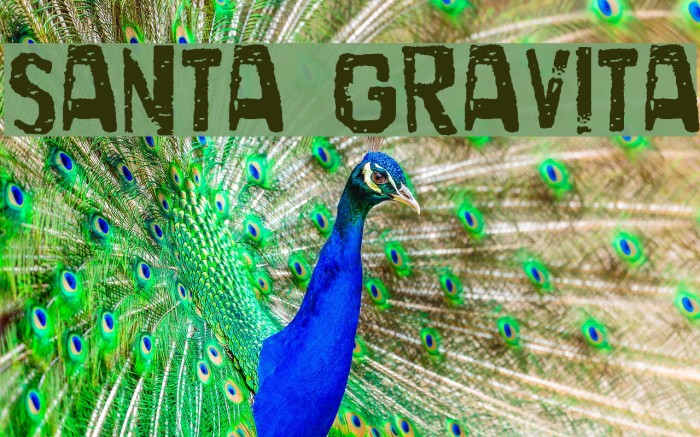 Santa Gravita Font examples