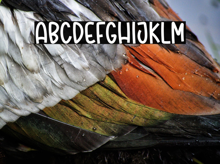 Santa History Example 2