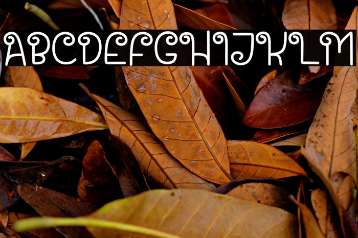 Santa House Example 3