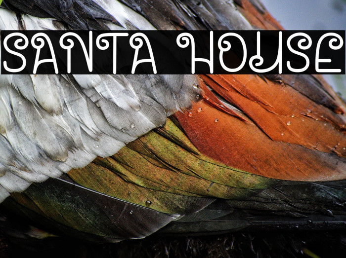 Santa House Example 3