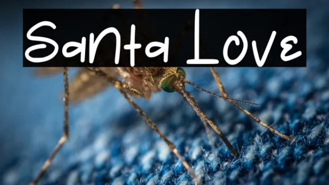 Santa Love Example 3