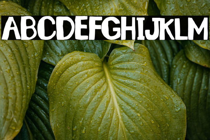 Santa Lucía Example 1