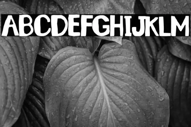 Santa Lucía Font examples