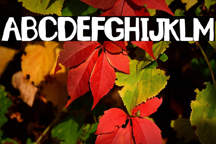 Santa Lucía Example 2