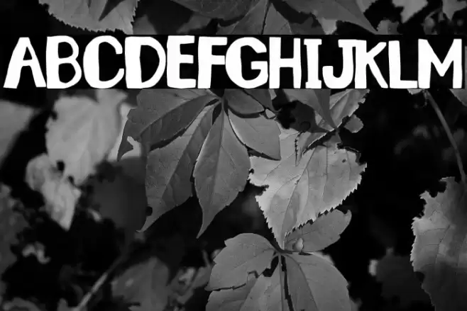 Santa Lucía Font examples