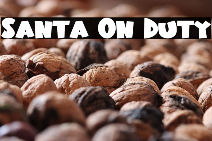Santa On Duty Example 1