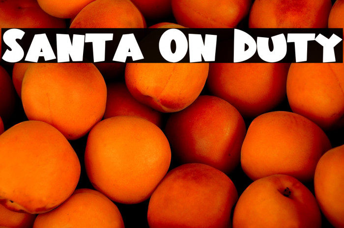 Santa On Duty Example 3