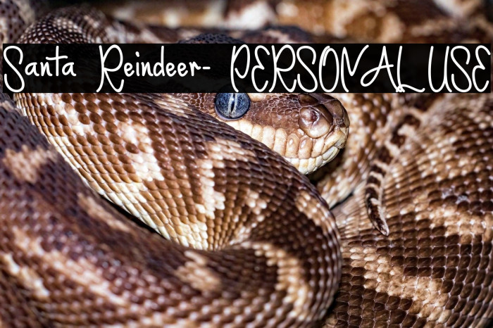 Santa Reindeer- PERSONAL USE Example 1