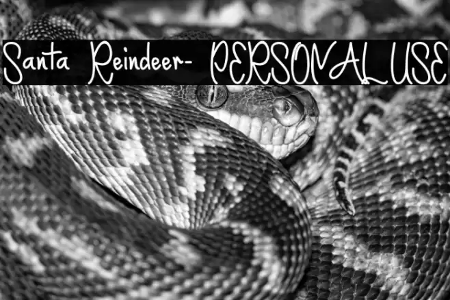 Santa Reindeer- PERSONAL USE Font examples