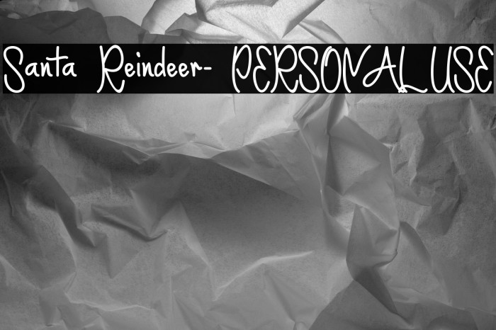 Santa Reindeer- PERSONAL USE Example 2