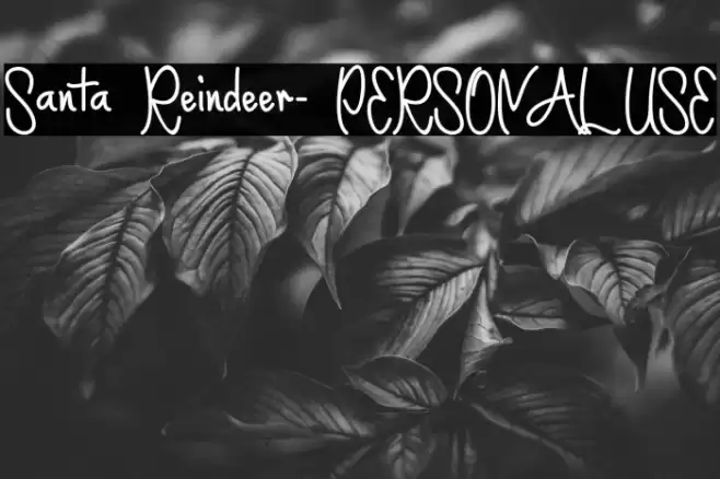 Santa Reindeer- PERSONAL USE Font examples