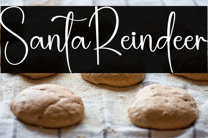 Santa Reindeer Example 1