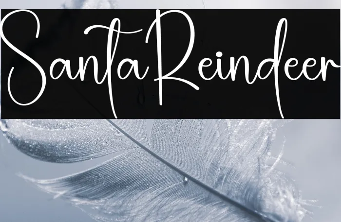 Santa Reindeer Example 2