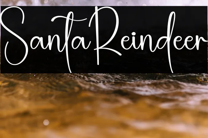 Santa Reindeer Example 3