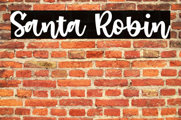 Santa Robin Example 2