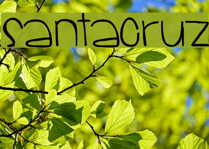 SantaCruz Font examples